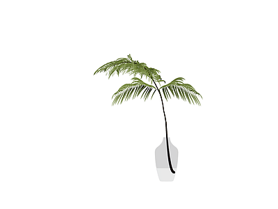 盆栽植物模型