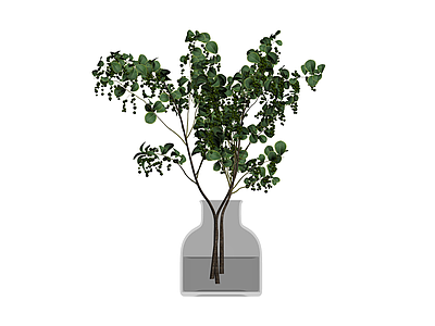 花瓶插枝绿植盆栽