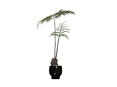 黑盆绿植盆栽模型