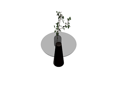 花瓶与植物组合