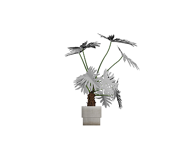 灰模盆栽植物模型