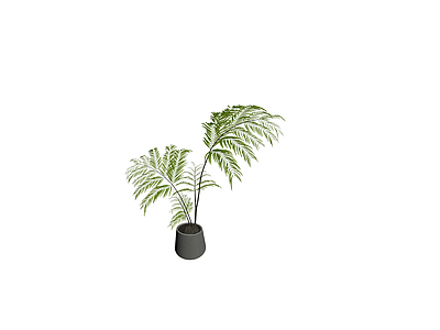 盆栽绿植组合模型
