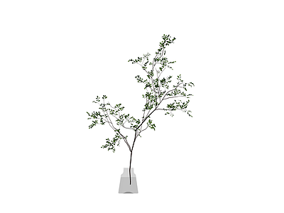 带瓶插绿植盆栽