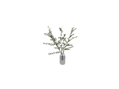 盆栽植物带花瓶