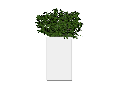 白色方盆绿植盆栽