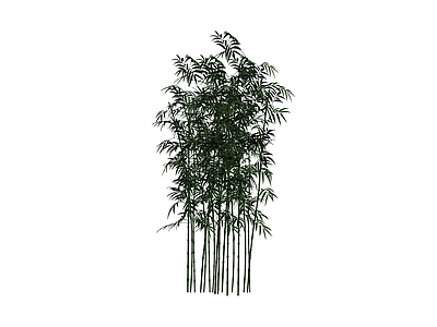 丛生竹林植物模型