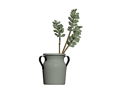 带叶盆栽植物