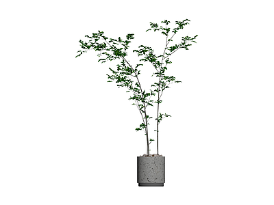 水泥盆栽绿植组合