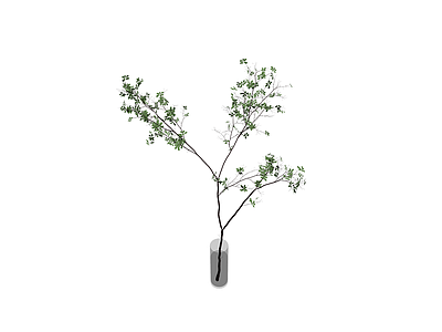 带玻璃花瓶的绿植盆栽