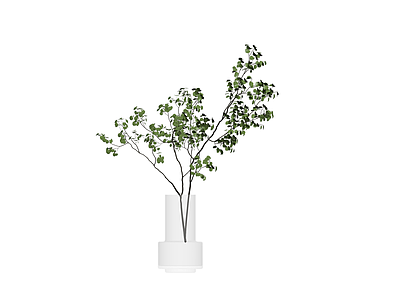 带盆绿植盆栽