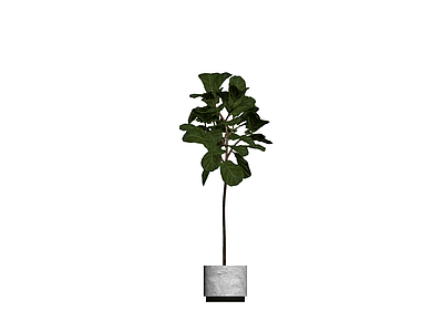 灰色花盆绿植盆栽