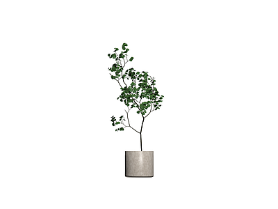 灰色花盆绿植盆栽