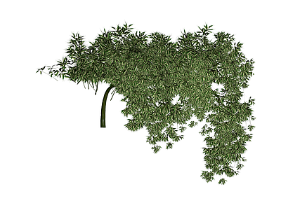 带茎完整绿植模型
