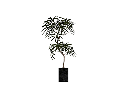 盆栽绿植模型