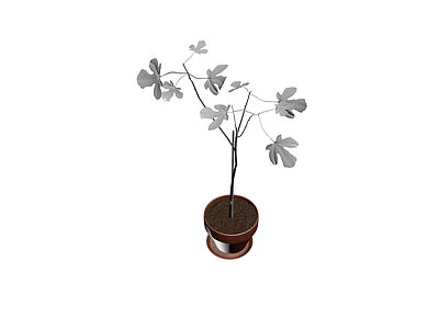 盆栽植物（灰模）