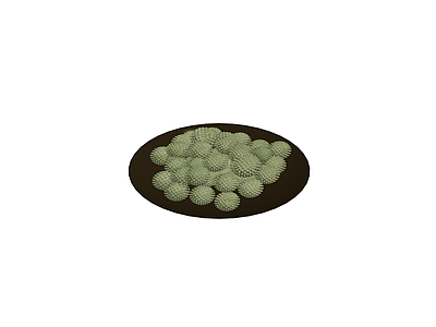 黑盘盛装绿色植物模型