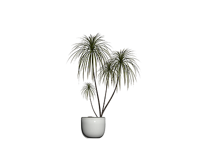 盆栽植物模型