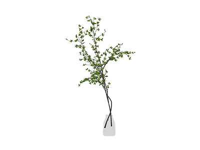 绿叶盆栽植物模型