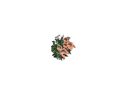 珊瑚色玫瑰花束