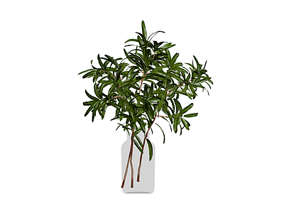 玻璃瓶插绿植盆栽