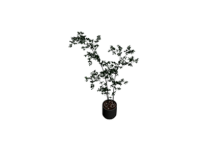 盆栽绿植模型