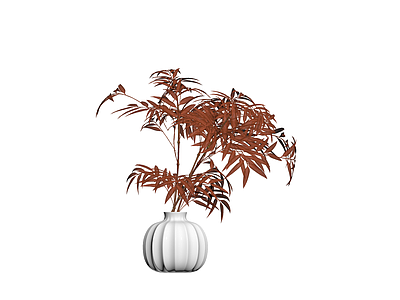 红叶植物配白色花瓶