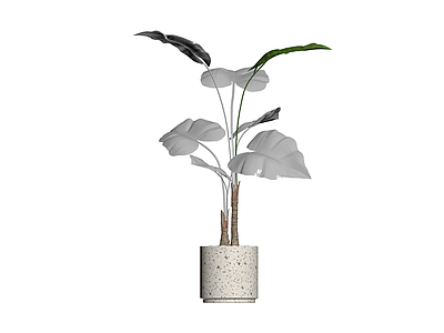 盆栽植物（灰模）
