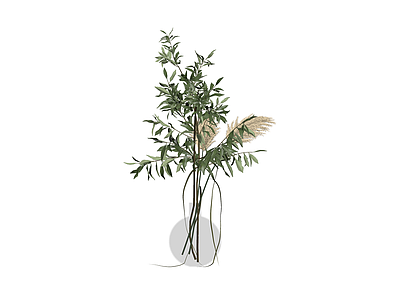 绿植盆栽组合（橄榄枝/芦苇）
