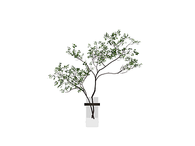 带盆绿植盆栽模型