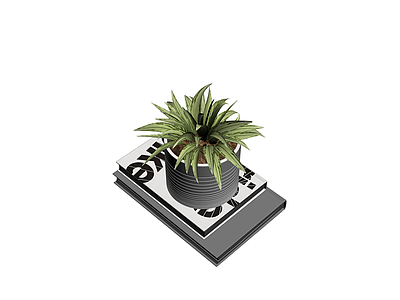 盆栽植物与书籍组合