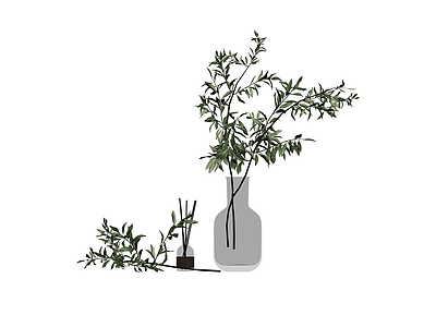 花瓶与植物组合