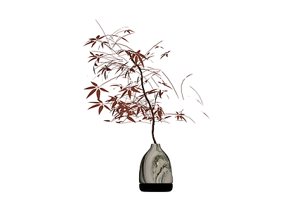 带盆红叶盆栽