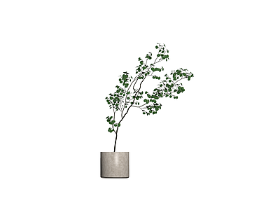 盆栽绿植模型
