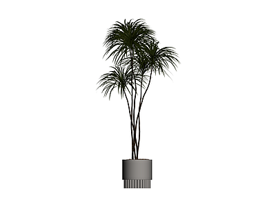 盆栽植物模型