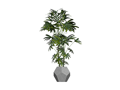 盆栽绿植组合