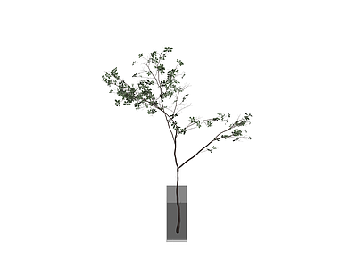 带盆绿植盆栽模型