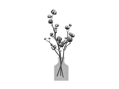 花瓶插棉花干花组合