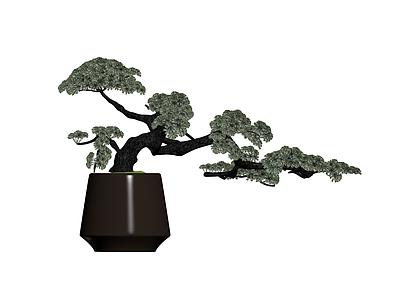 盆栽松树模型