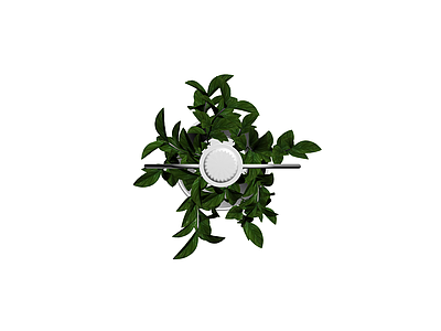 带植物吊灯组合