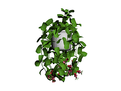 带盆垂吊盆栽模型