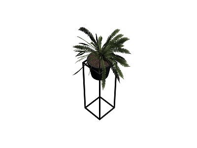 铁艺架盆栽植物组合