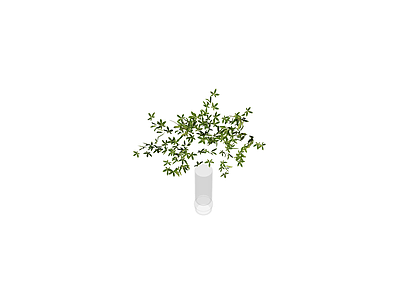 盆栽绿植模型