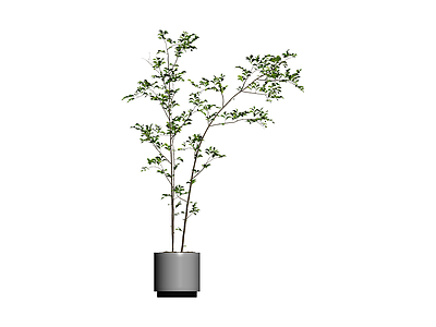 盆栽绿植植物模型