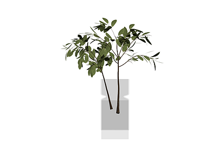 带花瓶的绿植盆栽