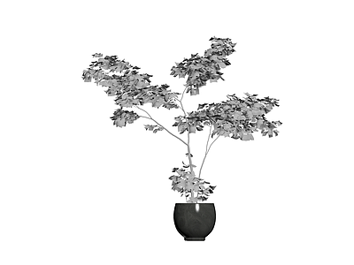 灰模盆栽植物模型