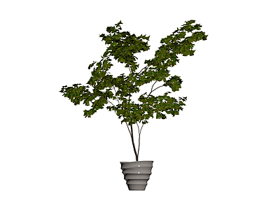 盆栽绿植组合模型