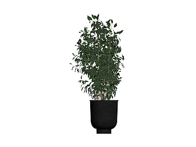 带盆绿植盆栽模型