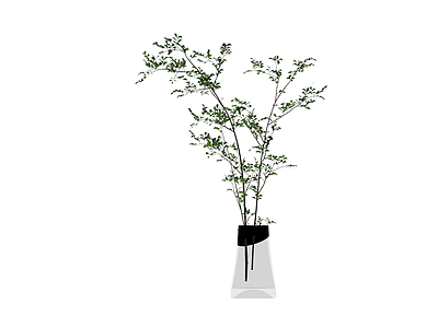 黑色花瓶插绿植盆栽