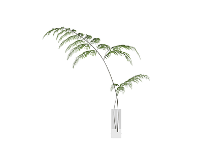 玻璃花瓶配绿植