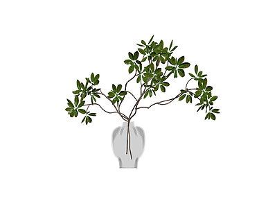 玻璃花瓶插绿植盆栽